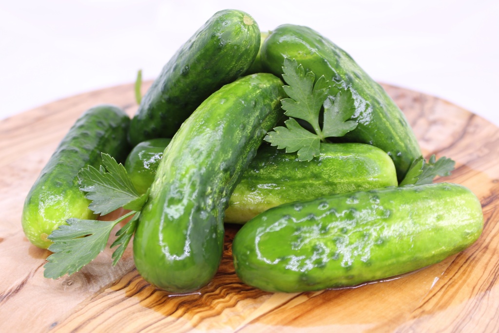 [95008-32] Half Sour Pickles, 8ct (packed 32fl.oz)